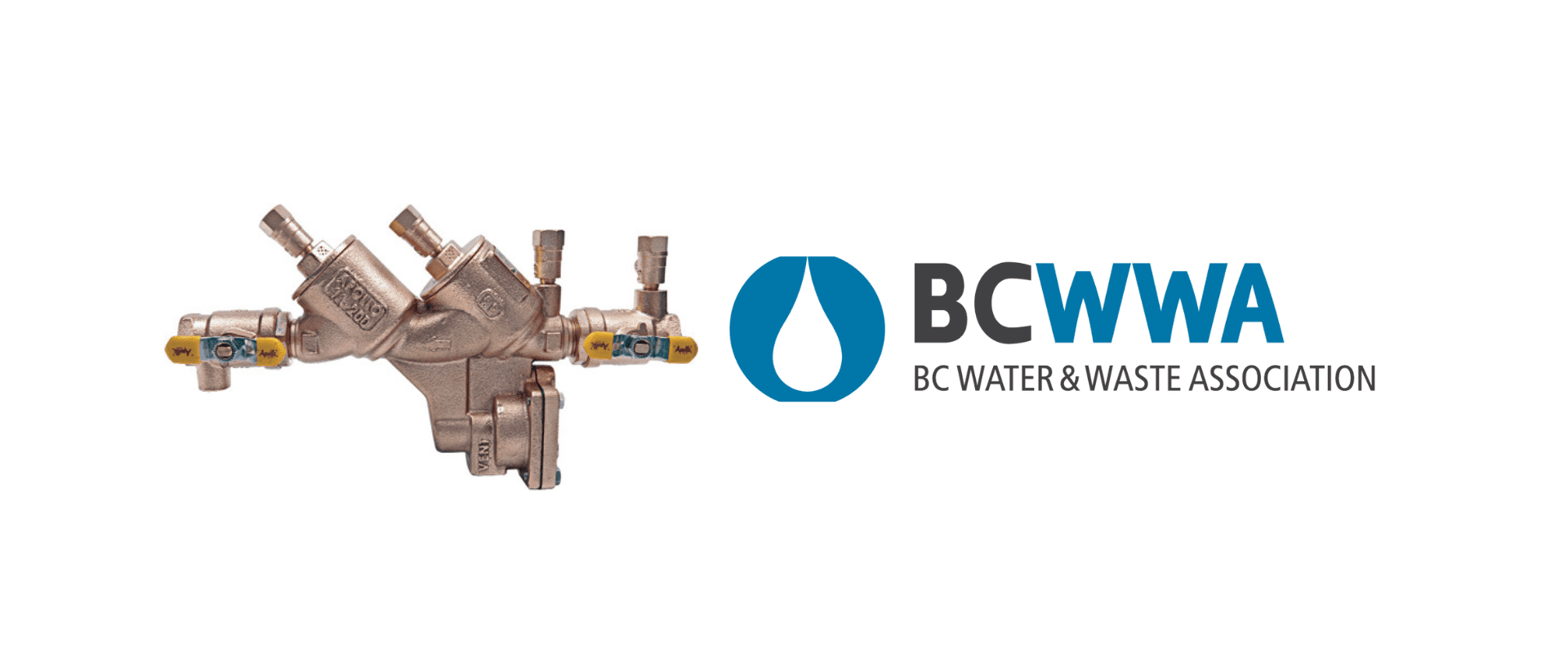 Backflow Testing Surrey 7 BCWWA certified backflow testers